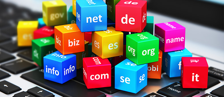 What is Domain Investing?