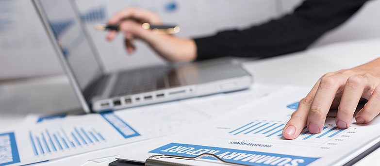 Auditor’s Report on ICO
